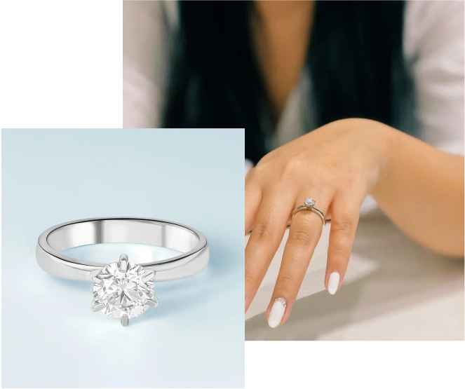 The Newlook Collection 3